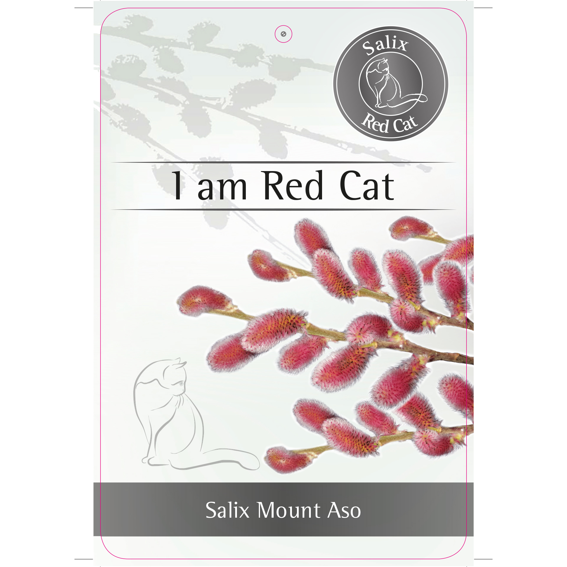 'I am Red Cat'