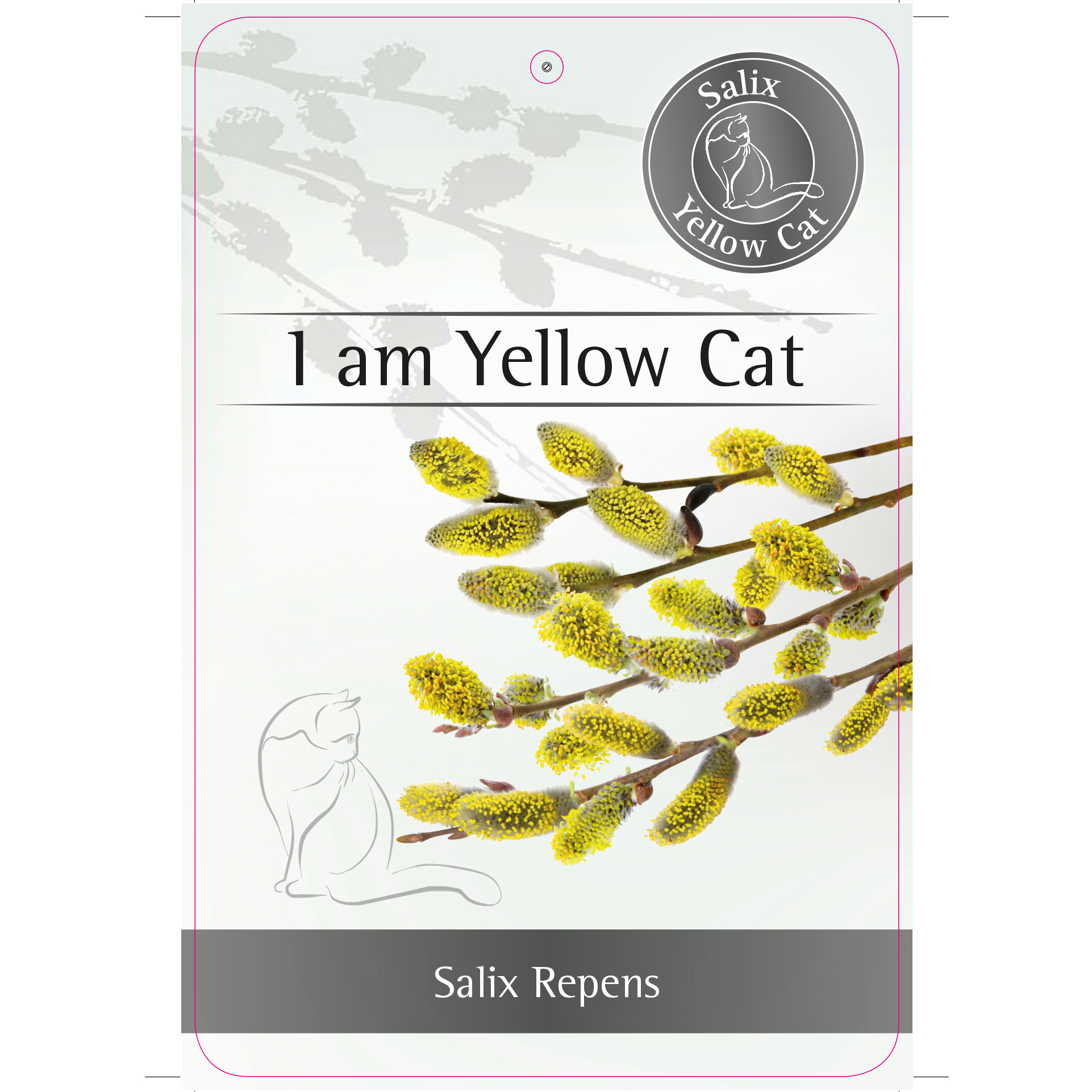 'I am Yellow Cat'